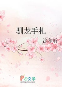 驯龙手札