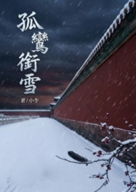 孤鸞衔雪